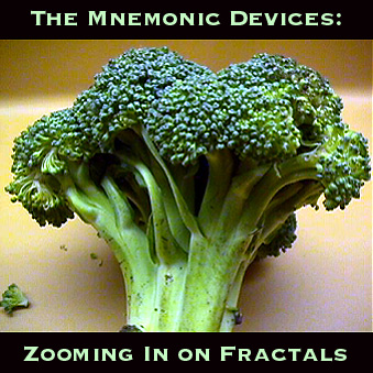 Zooming In On Fractals (Feb 2001)